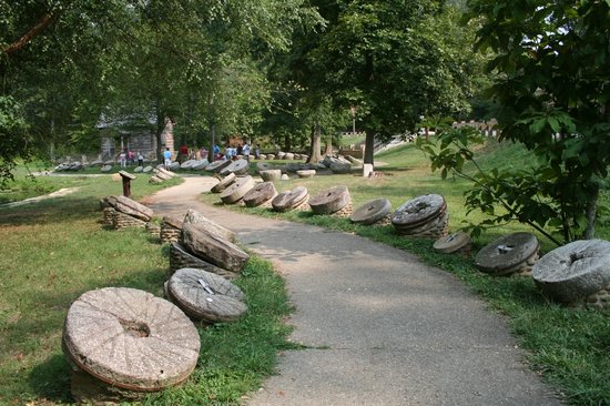 Photo of Levi Jackson Wilderness Road State Park